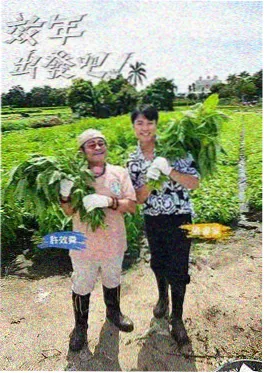 乘风破浪